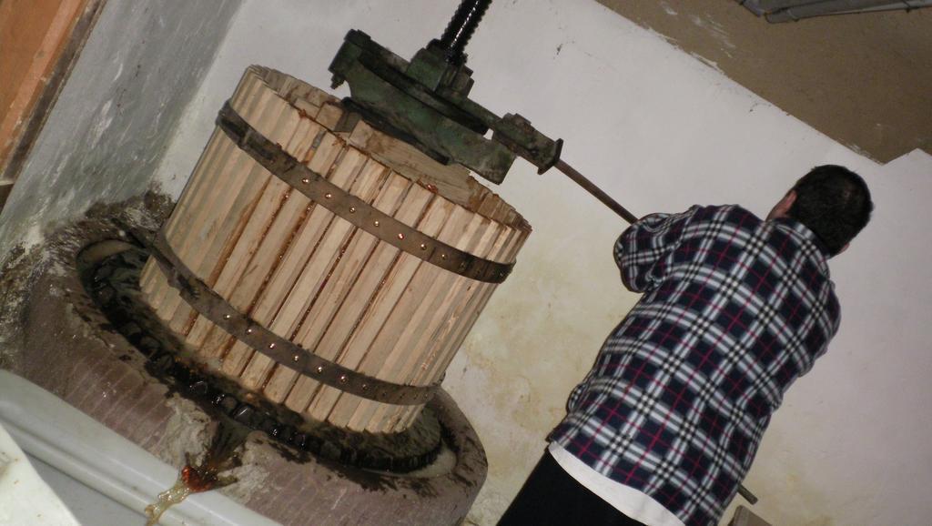 Chez Salome Et Fritz Villa Ingolsheim Dış mekan fotoğraf