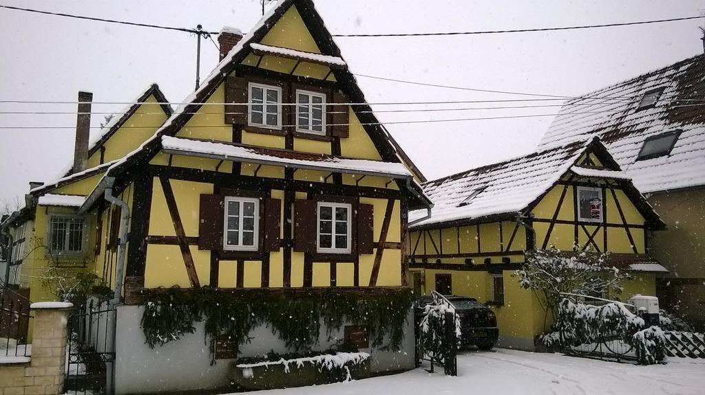 Chez Salome Et Fritz Villa Ingolsheim Dış mekan fotoğraf