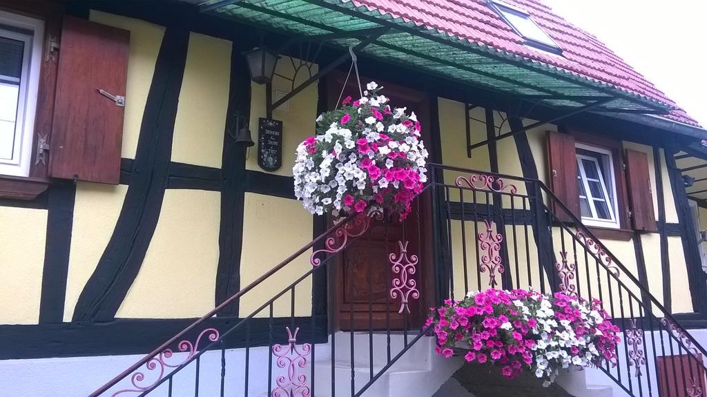 Chez Salome Et Fritz Villa Ingolsheim Dış mekan fotoğraf