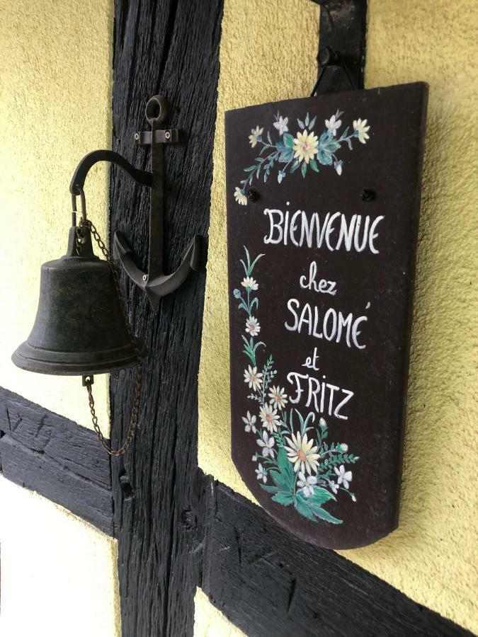Chez Salome Et Fritz Villa Ingolsheim Dış mekan fotoğraf