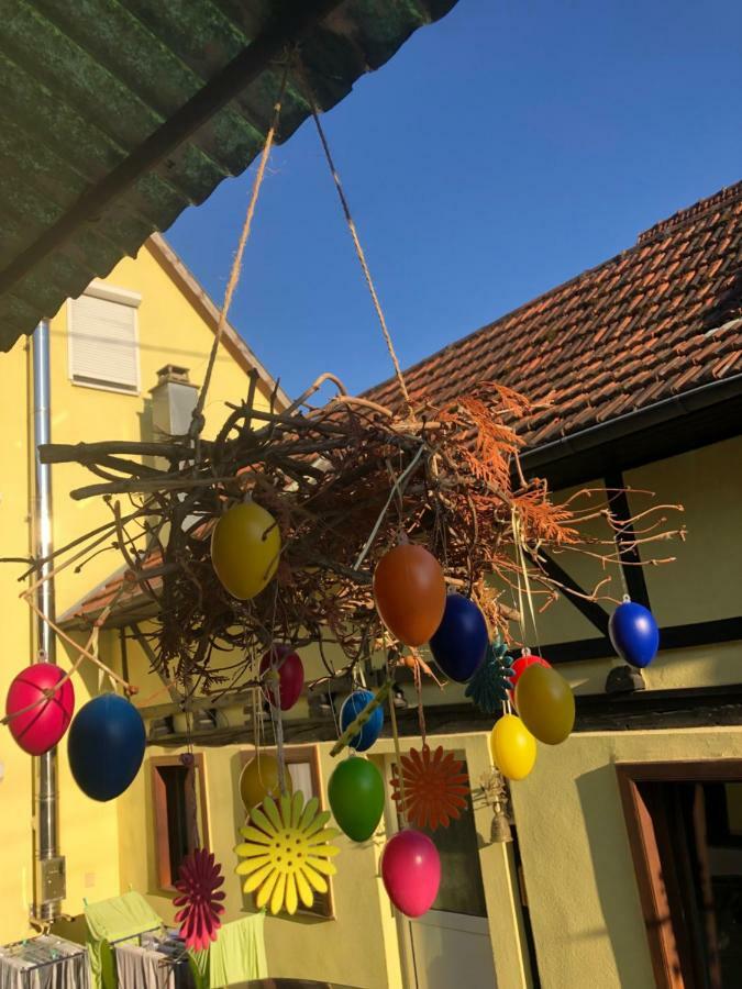 Chez Salome Et Fritz Villa Ingolsheim Dış mekan fotoğraf